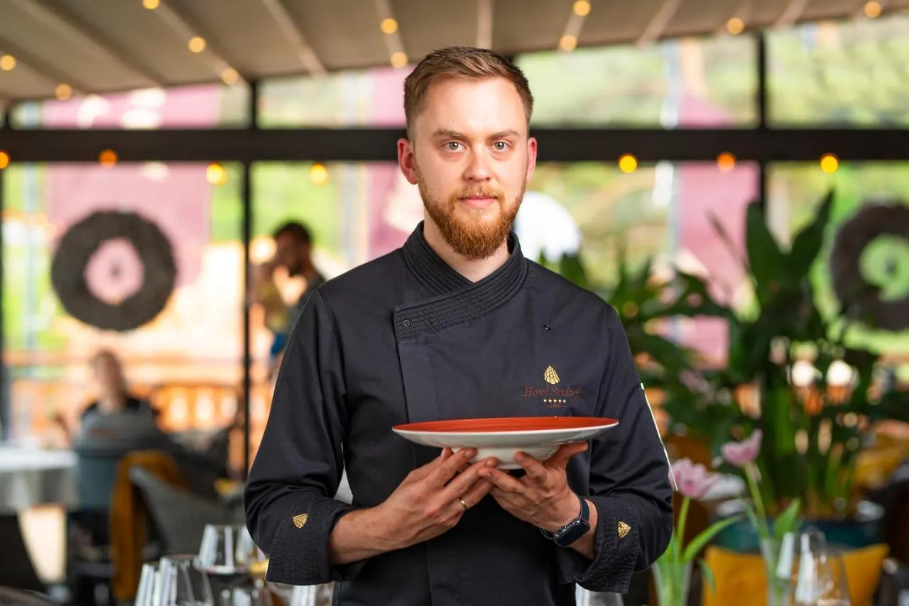 Hotel Seidorf Kolo Karpacza Sosnówka